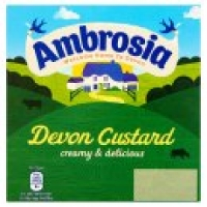 Devon Custard £1.30