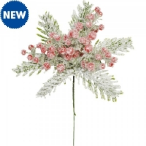 Pick Frosted Berry Pine 20cm