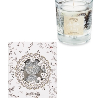Aldi  Mistletoe Gel Candle & Tea Lights