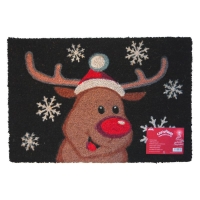 QDStores  Christmas Rudolph & Snowflake Door Mat