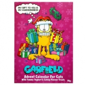 Garfield Cat Advent Calendar 70g £1.00