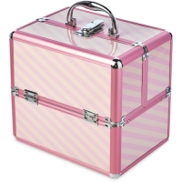Aldi  Avenue Pink Stripe Vanity Case