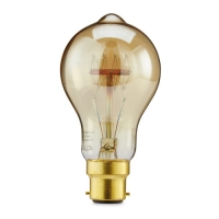 Aldi  Antique Style Classic B22 Lightbulb