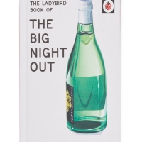Aldi  Big Night Out Ladybird Retro Book