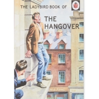 Aldi  The Hangover Ladybird Retro Book