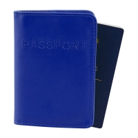BigW  Globite RFID-Blocking Passport Cover - Royal Blue