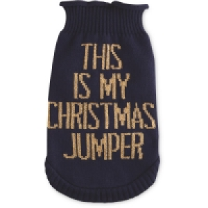 This Is My Pet Jumper