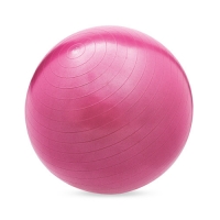 Aldi  Gym Ball 65cm Pink