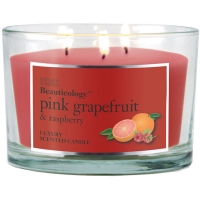 BargainCrazy  Baylis & Harding Beauticology Grapefruit & Raspberry 3 Wick 