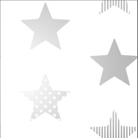 Debenhams  Superfresco Easy - Superstar silver & white star print wallp