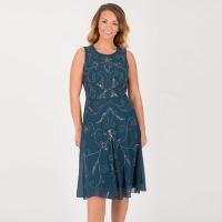 Debenhams  Anna Field - Blue flower vine embellishment dress