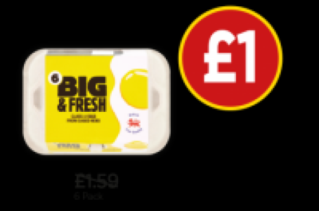 Big & Fresh Eggs &pound;1.59