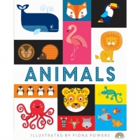 BMStores  Lift the Flap Board Book - Animals