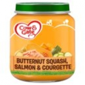 Butternut Squash & Salmon 4m+ &pound;0.65