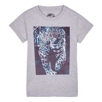 Debenhams  bluezoo - Boys grey flocked tiger t-shirt