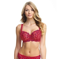 Debenhams  Fantasie - Red Angelina Floral Embroidery Underwired Non-p