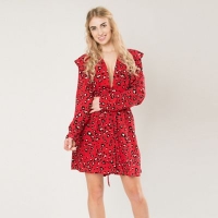 Debenhams  Amalie & Amber - Red leopard print mini dress