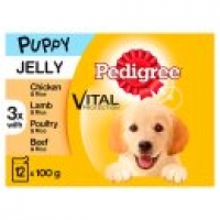 Asda Pedigree Puppy Pouches Mixed Varieties in Jelly