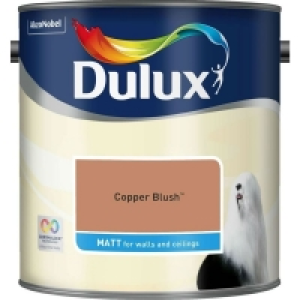 Dulux Matt Emulsion Paint Copper Blush 2.5L £7.00