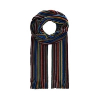 Debenhams  The Collection - Multicoloured striped scarf