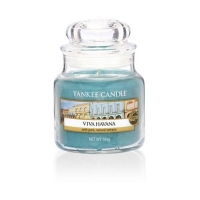 Debenhams  Yankee Candle - Small classic Viva Havana scented jar cand