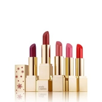 Debenhams  Estée Lauder - Pure Colour Envy Sculpting Lipstick Gift Se
