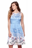 Debenhams  Yumi - Blue Floral Shift Dress