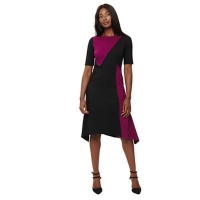 Debenhams  Phase Eight - Black and magenta colour block court dress