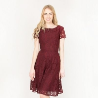Debenhams  Solo - Wine natalia lace dress