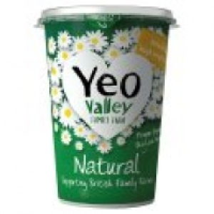 Natural Yogurt £1.25