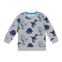 Debenhams  bluezoo - Boys Grey Dinosaur Sweater