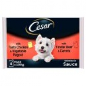 Deliciously Fresh Favourites Sauce Wet Adult Dog Food Pouche £1.50