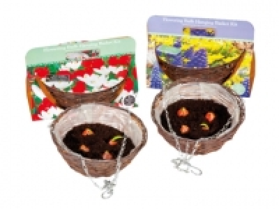 Flowering Bulb Hanging Basket Kit