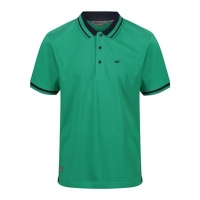 Debenhams  Regatta - Green Talcott polo shirt