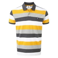 Debenhams  Tog 24 - Citrus stripe Palin polo shirt