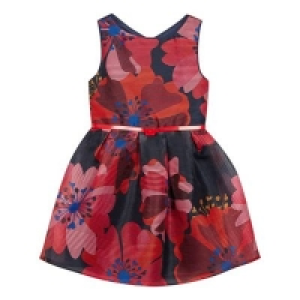 J by Jasper Conran - Girls Multicoloured Floral Print Burno
