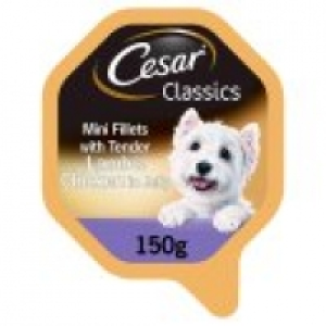 Cesar Classics Lamb and Chicken Jelly Wet Adult Dog Food Tray