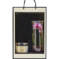 Aldi  Orchid and Peony Candle Gift Bag