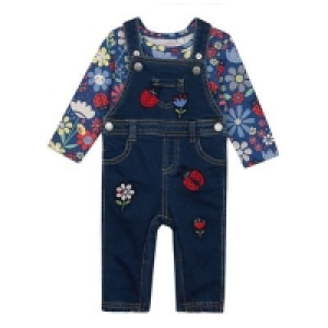 bluezoo - Babies Navy Ladybird Dungarees and Top Set