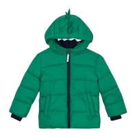 Debenhams  bluezoo - Kids green dinosaur padded jacket