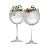 Debenhams  Galway Living - Clarity pair of crystal gin glasses