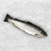 Asda Asda Fishmongers Selection Whole Salmon (typically 2.5KG)