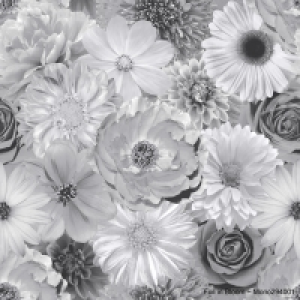Arthouse Foil in Bloom Mono Wallpaper £16.00