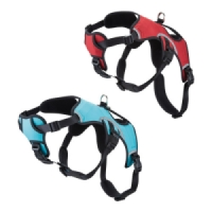 Medium-Sized Dog Harness