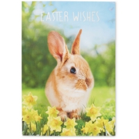 Aldi  Easter Wishes Greeting Card