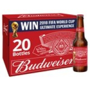 Budweiser Lager Beer Bottles £12.00