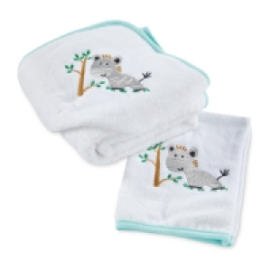 Zebra Hooded Baby Towel/Wash Mitt