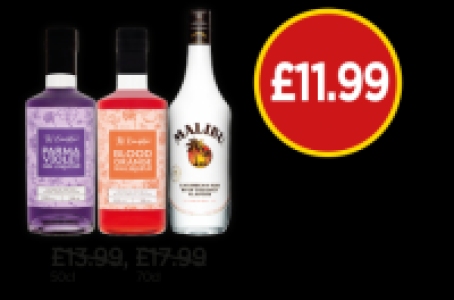 Budgens  TW Kempton Parma Violet Gin, TW Kempton Blood Orange Gin, Ma