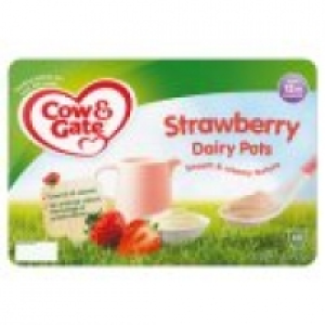 Strawberry Dairy Pots 12m+ £1.25