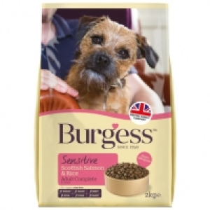 Burgess Sensitive Adult Dog Food 2kg - Scottish Salmon & Ric £1.00